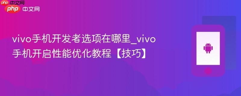 vivo手机开发者选项在哪里_vivo手机开启性能优化教程【技巧】
