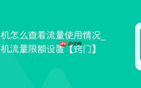 iqoo手机怎么查看流量使用情况?iqoo手机流量限额设置【窍门】