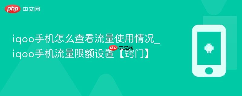 iqoo手机怎么查看流量使用情况_iqoo手机流量限额设置【窍门】
