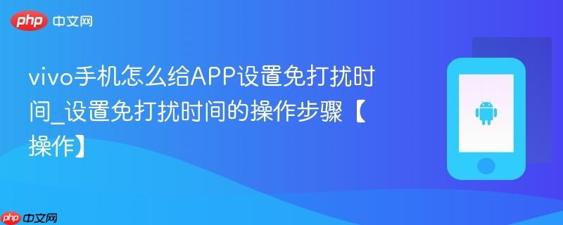 vivo手机怎么给app设置免打扰时间_设置免打扰时间的操作步骤【操作】