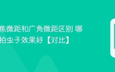 手机长焦微距和广角微距区别 哪种微距拍虫子效果好【对比】