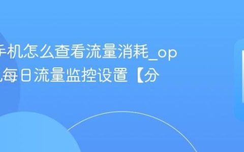 oppo手机怎么查看流量消耗?oppo手机每日流量监控设置【分享】