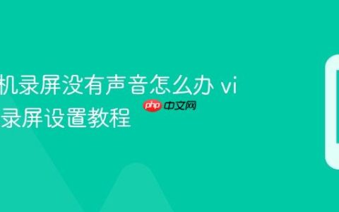 vivo手机录屏没有声音怎么办 vivo手机录屏设置教程