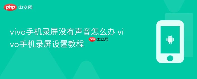 vivo手机录屏没有声音怎么办 vivo手机录屏设置教程