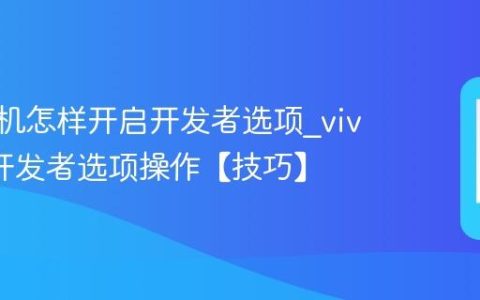vivo手机怎样开启开发者选项?vivo开启开发者选项操作【技巧】