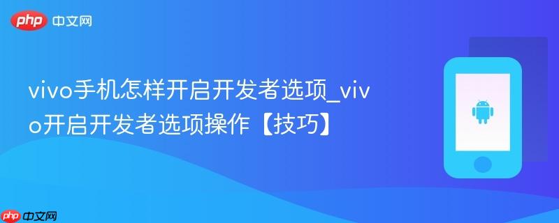 vivo手机怎样开启开发者选项_vivo开启开发者选项操作【技巧】