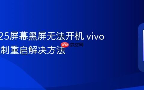 vivo V25屏幕黑屏无法开机 vivo V25强制重启解决方法