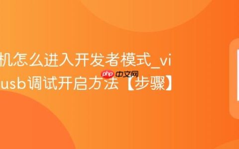 vivo手机怎么进入开发者模式?vivo手机usb调试开启方法【步骤】