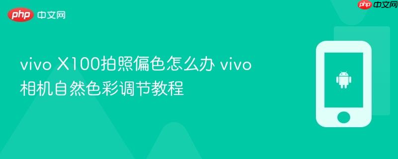 vivo x100拍照偏色怎么办 vivo相机自然色彩调节教程