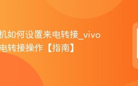 vivo手机如何设置来电转接?vivo设置来电转接操作【指南】