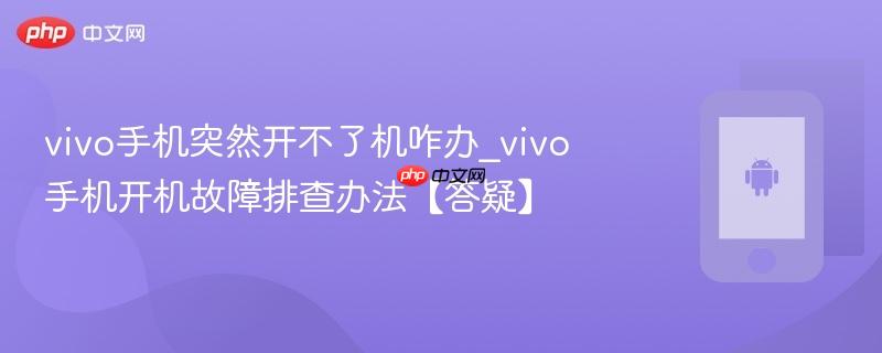 vivo手机突然开不了机咋办_vivo手机开机故障排查办法【答疑】