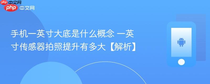 手机一英寸大底是什么概念 一英寸传感器拍照提升有多大【解析】