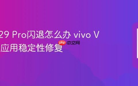vivo V29 Pro闪退怎么办 vivo V29 Pro应用稳定性修复