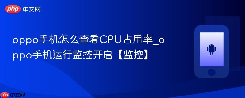oppo手机怎么查看cpu占用率_oppo手机运行监控开启【监控】