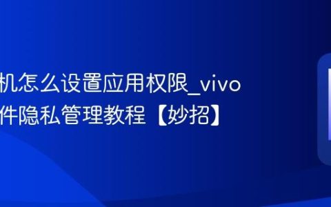 vivo手机怎么设置应用权限?vivo手机软件隐私管理教程【妙招】