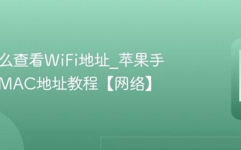 苹果怎么查看WiFi地址?苹果手机查看MAC地址教程【网络】