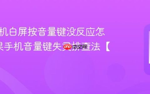 苹果手机白屏按音量键没反应怎修?苹果手机音量键失灵排查法【按键】