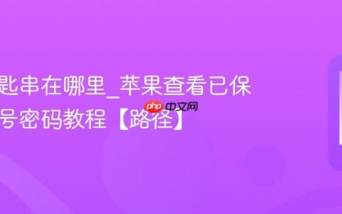 苹果钥匙串在哪里?苹果查看已保存的账号密码教程【路径】