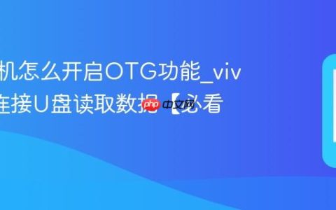 vivo手机怎么开启OTG功能?vivo手机连接U盘读取数据【必看】