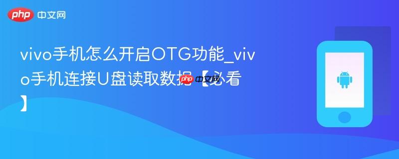 vivo手机怎么开启otg功能_vivo手机连接u盘读取数据【必看】