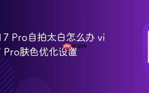 vivo S17 Pro自拍太白怎么办 vivo S17 Pro肤色优化设置