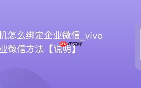 vivo手机怎么绑定企业微信?vivo绑定企业微信方法【说明】