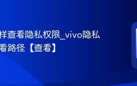 vivo怎样查看隐私权限?vivo隐私权限查看路径【查看】