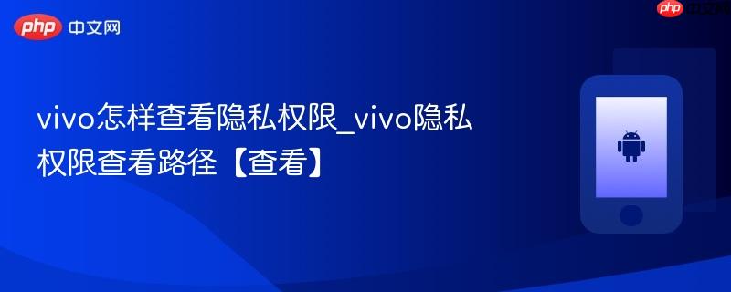 vivo怎样查看隐私权限_vivo隐私权限查看路径【查看】