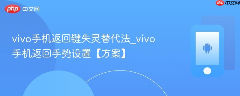 vivo手机返回键失灵替代法_vivo手机返回手势设置【方案】