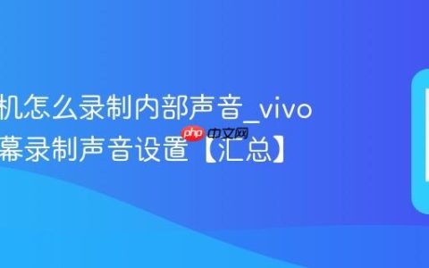 vivo手机怎么录制内部声音?vivo手机屏幕录制声音设置【汇总】