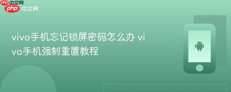 vivo手机忘记锁屏密码怎么办 vivo手机强制重置教程