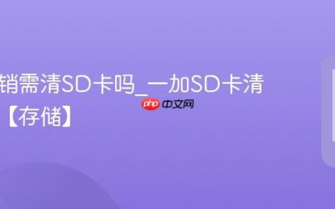 一加注销需清SD卡吗?一加SD卡清理说明【存储】