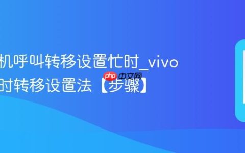 vivo手机呼叫转移设置忙时?vivo手机忙时转移设置法【步骤】