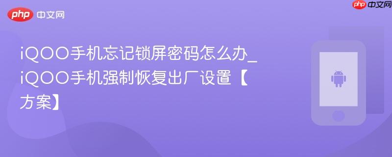 iqoo手机忘记锁屏密码怎么办_iqoo手机强制恢复出厂设置【方案】