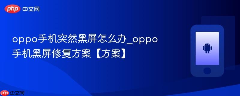 oppo手机突然黑屏怎么办_oppo手机黑屏修复方案【方案】