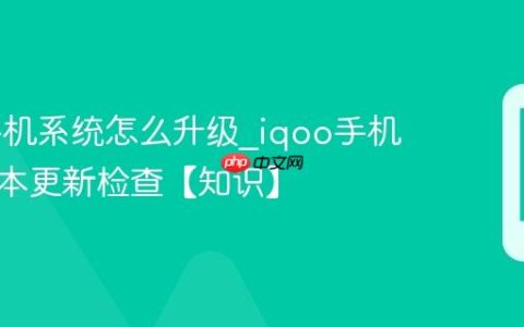 iqoo手机系统怎么升级?iqoo手机最新版本更新检查【知识】
