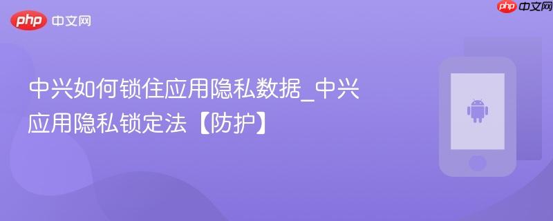 中兴如何锁住应用隐私数据_中兴应用隐私锁定法【防护】