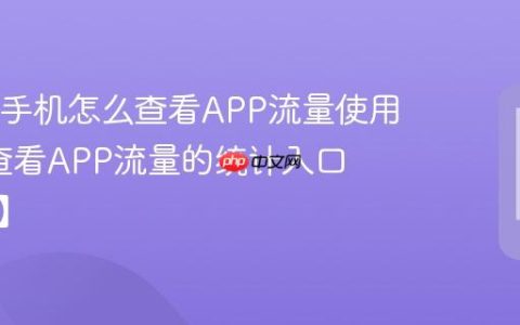 OPPO手机怎么查看APP流量使用情况?查看APP流量的统计入口【说明】