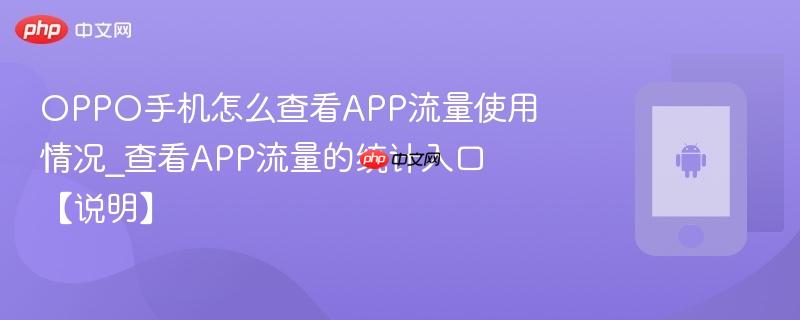 oppo手机怎么查看app流量使用情况_查看app流量的统计入口【说明】