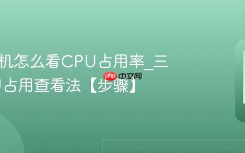 三星手机怎么看CPU占用率?三星CPU占用查看法【步骤】