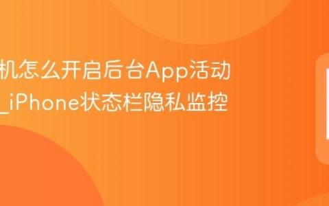 苹果手机怎么开启后台App活动指示器?iPhone状态栏隐私监控提示