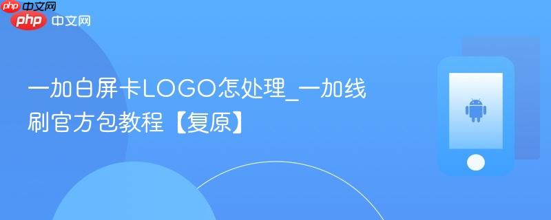 一加白屏卡logo怎处理_一加线刷官方包教程【复原】
