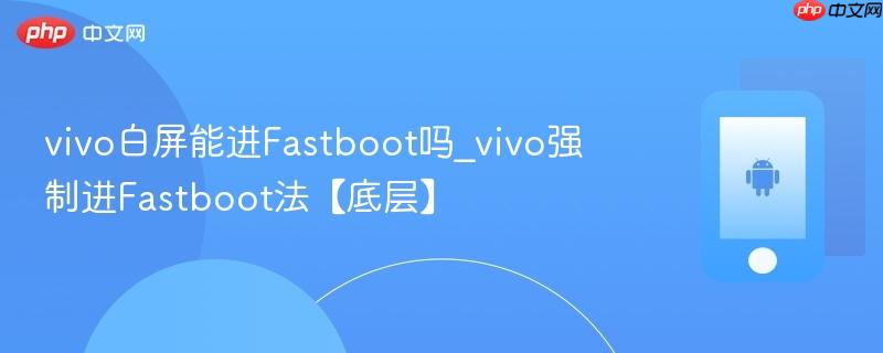 vivo白屏能进fastboot吗_vivo强制进fastboot法【底层】