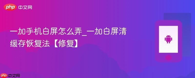一加手机白屏怎么弄_一加白屏清缓存恢复法【修复】