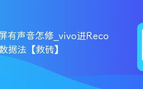 vivo白屏有声音怎修?vivo进Recovery清数据法【救砖】