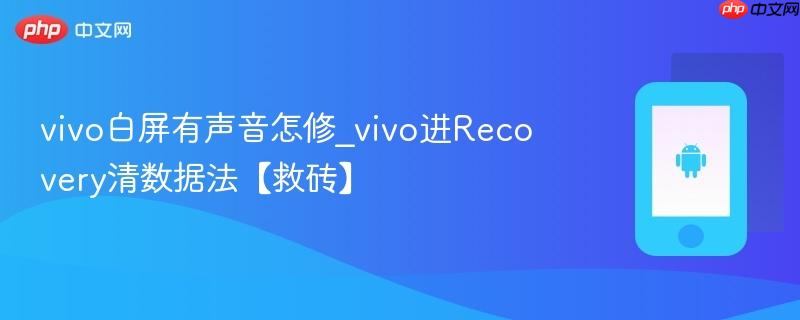 vivo白屏有声音怎修_vivo进recovery清数据法【救砖】