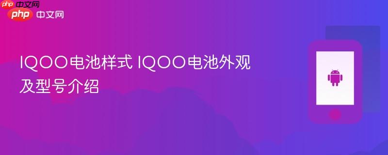 iqoo电池样式 iqoo电池外观及型号介绍