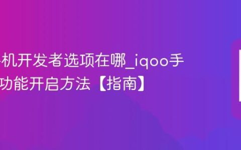 iqoo手机开发者选项在哪?iqoo手机隐藏功能开启方法【指南】