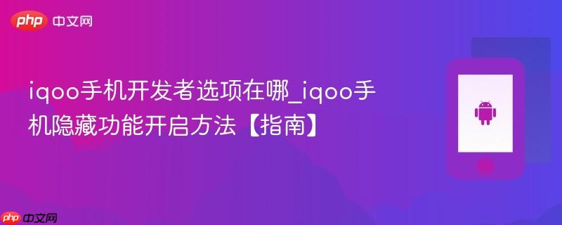 iqoo手机开发者选项在哪_iqoo手机隐藏功能开启方法【指南】
