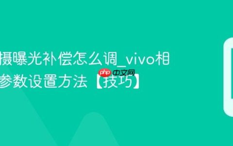 vivo拍摄曝光补偿怎么调?vivo相机曝光参数设置方法【技巧】